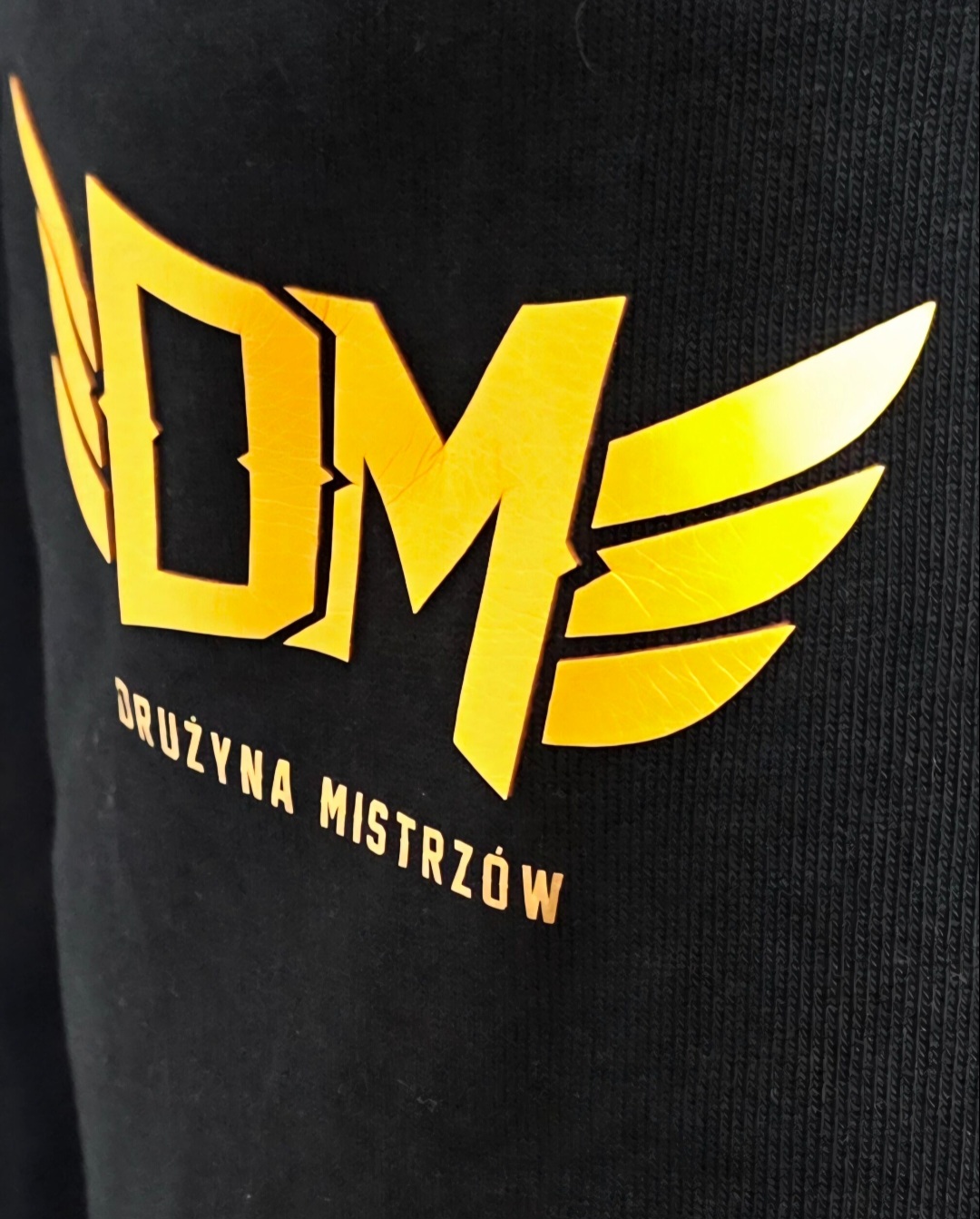 KOMPLET DRUŻYNA MISTRZÓW GOLD TRANING 2.0(PRZEDSPRZEDAŻ) - obrazek 11