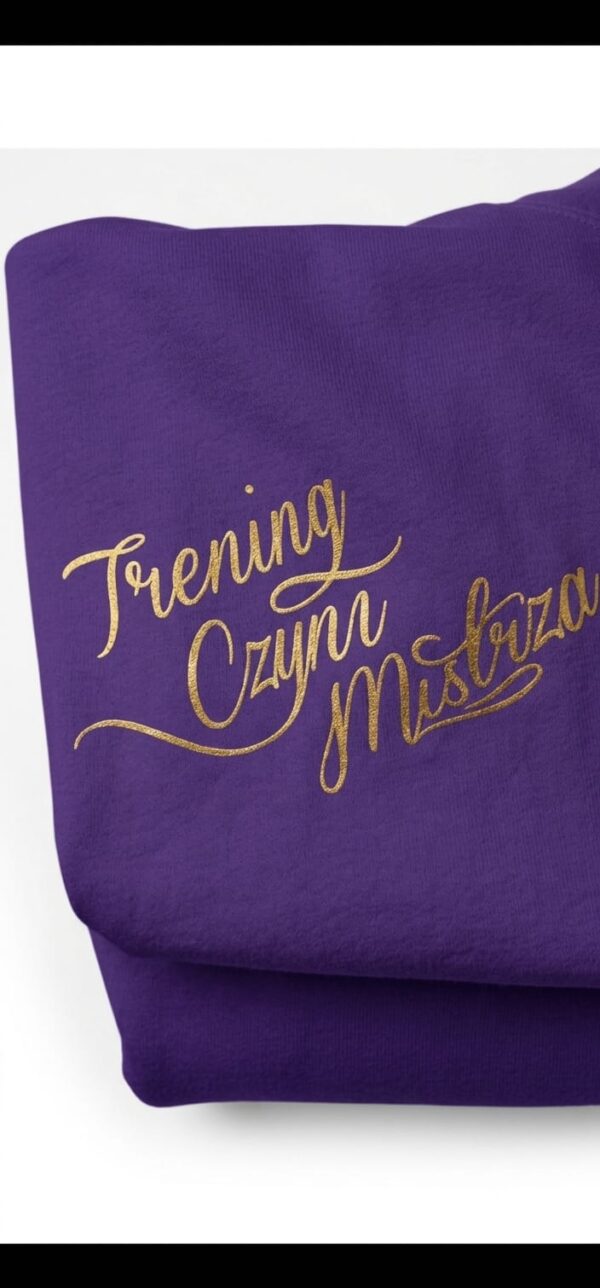 BLUZA DRUŻYNA MISTRZÓW PURPLE KAPTUR  PRZEDSPRZEDAŻ