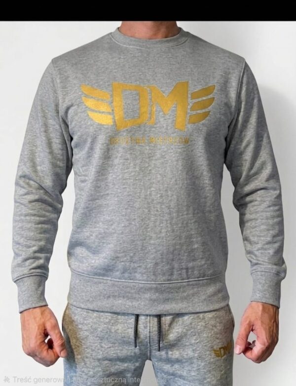 WhatsApp Image 2026-06-12 at 13.54.36 (1) BLUZA DRUŻYNA MISTRZÓW CLASSIC GREY PRZEDSPRZEDAŻ