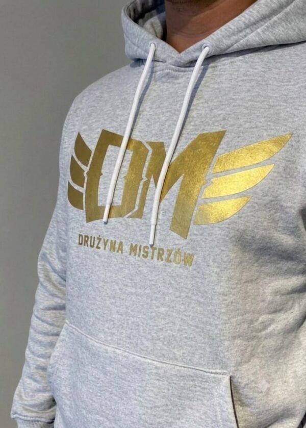 WhatsApp Image 2026-06-12 at 14.26.58 BLUZA DRUZYNA MISTRZOW GREY KAPTUR PRZEDSPRZEDAŻ
