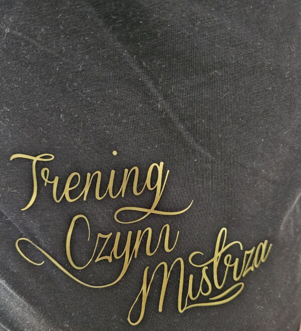 T-SHIRT DRUŻYNA MISTRZÓW STYLE LIMITED PRZEDSPRZEDAŻ (DOSTĘPNA OD RĘKI )
